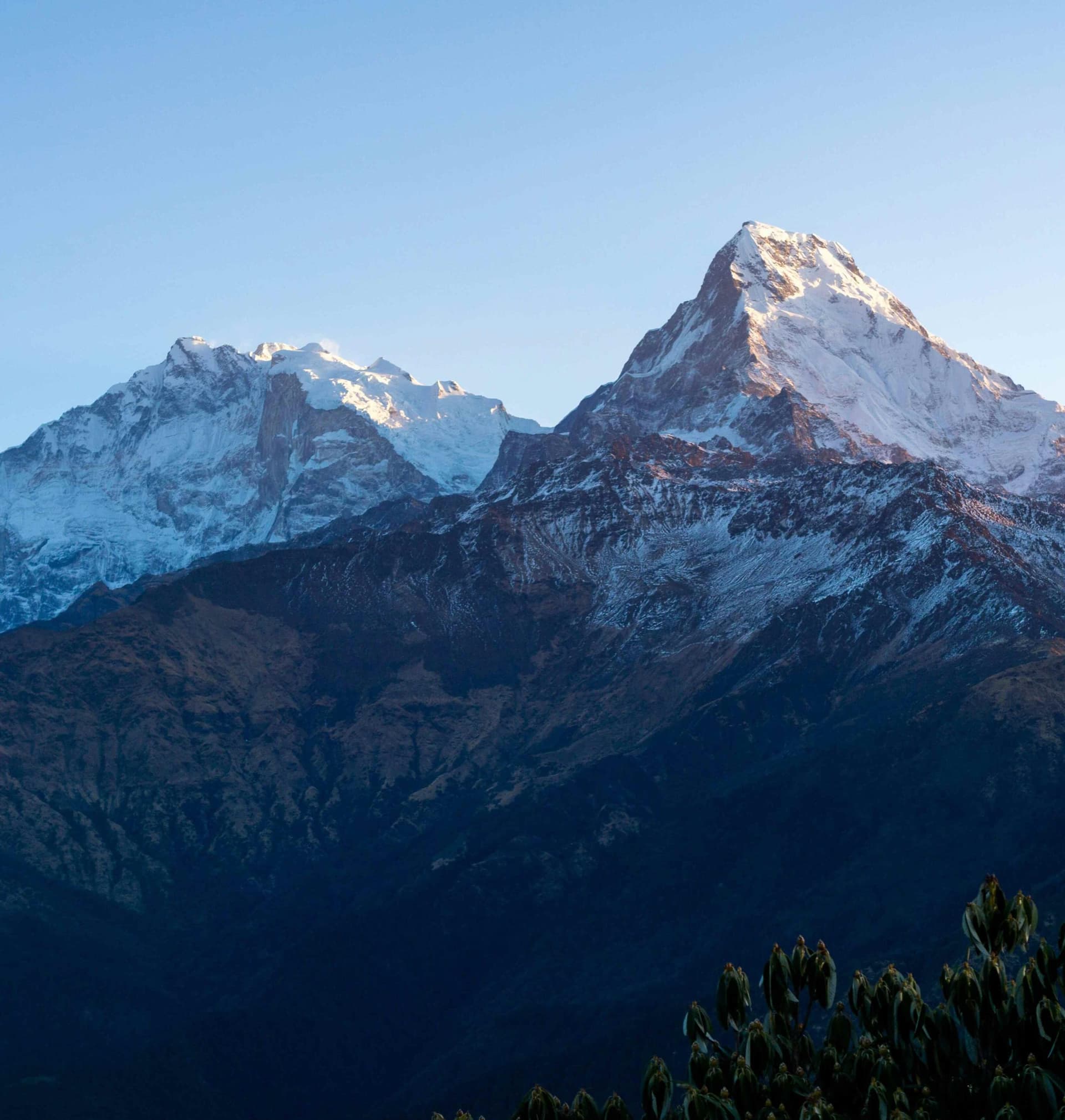 Ghorepani Ghandruk Trek - 4 Days