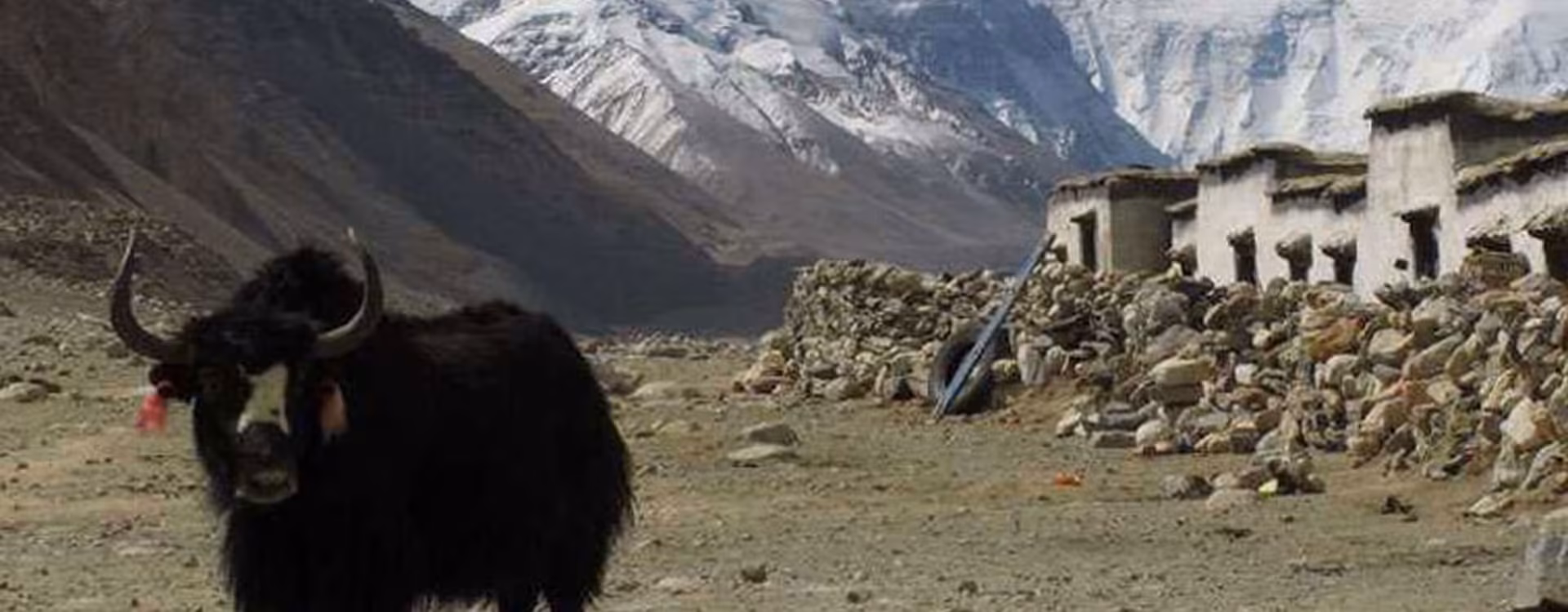 Lhasa Everest Base Camp Tour