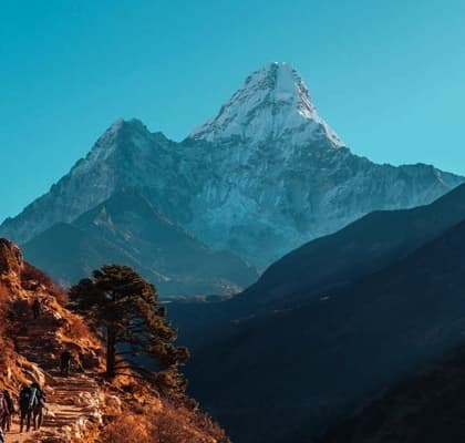 Shiva Excursion Home Content 1